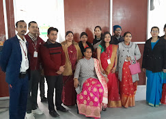 best school in punaichak